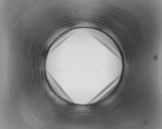 X0000111621049200908141313