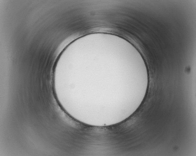 X0000111621050200908141313