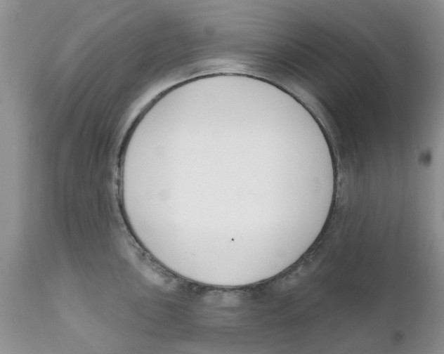 X0000111621051200908141313