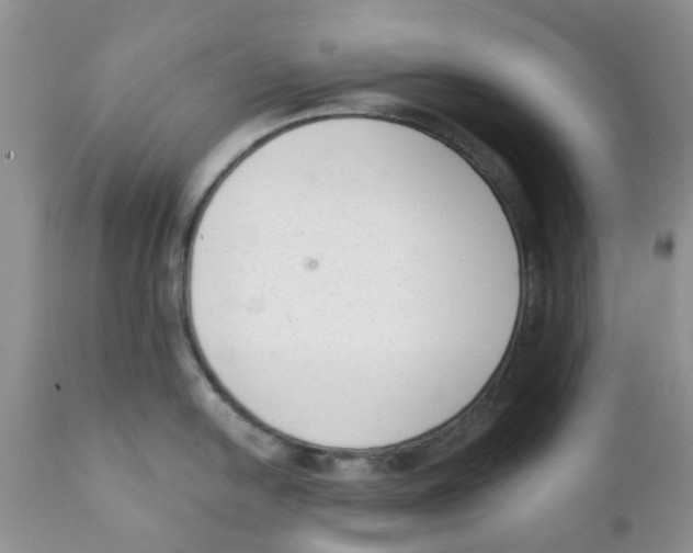 X0000111621054200908141313