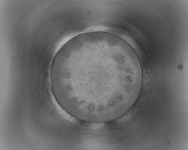 X0000111621055200908141314