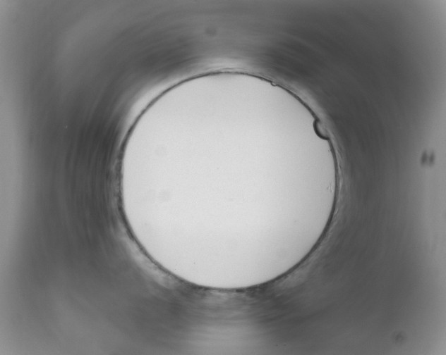 X0000111621056200908141314