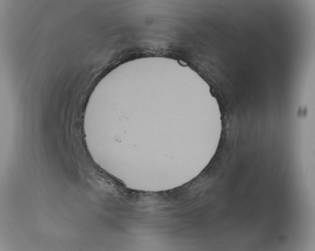 X0000111621057200908141313