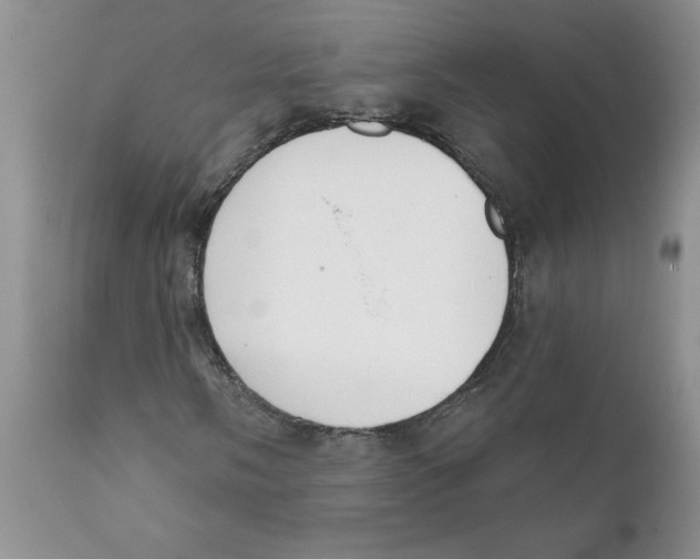 X0000111621058200908141313