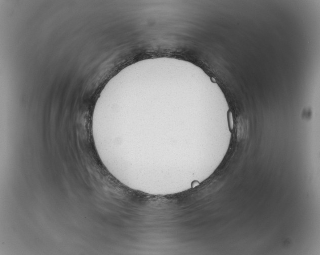 X0000111621059200908141313