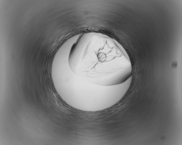 X0000111621060200908141313