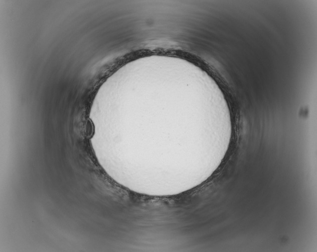 X0000111621063200908141312