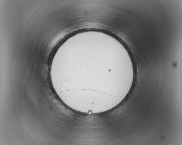 X0000111621067200908141312