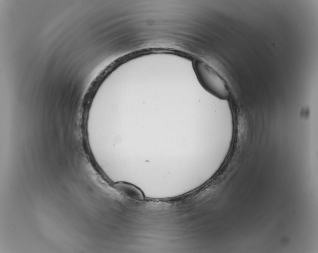 X0000111621068200908141312