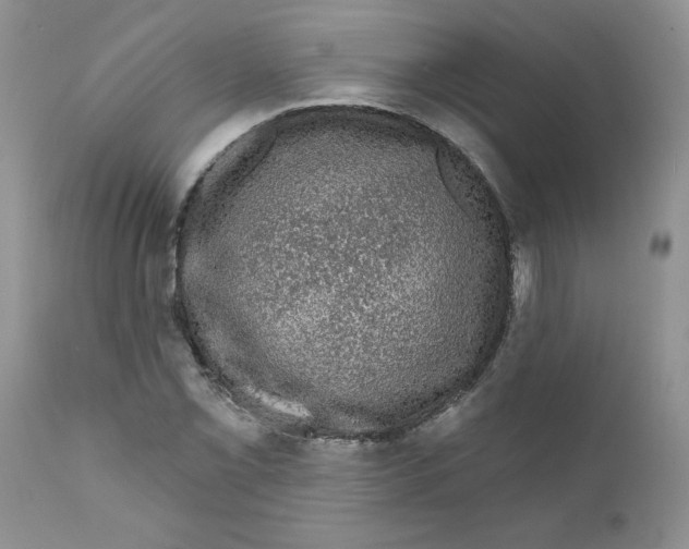 X0000111621069200908141312