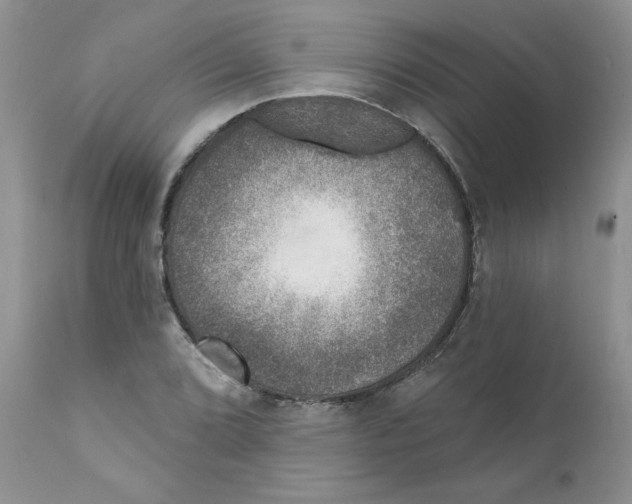 X0000111621072200908141312