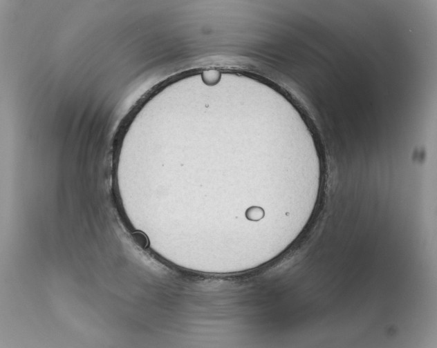 X0000111621075200908141312