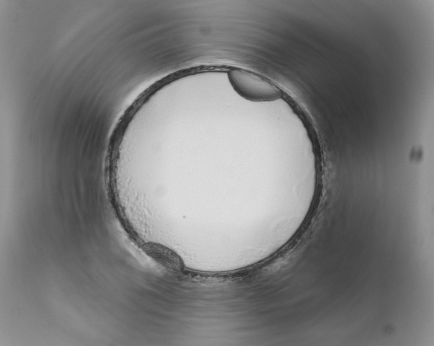 X0000111621076200908141312