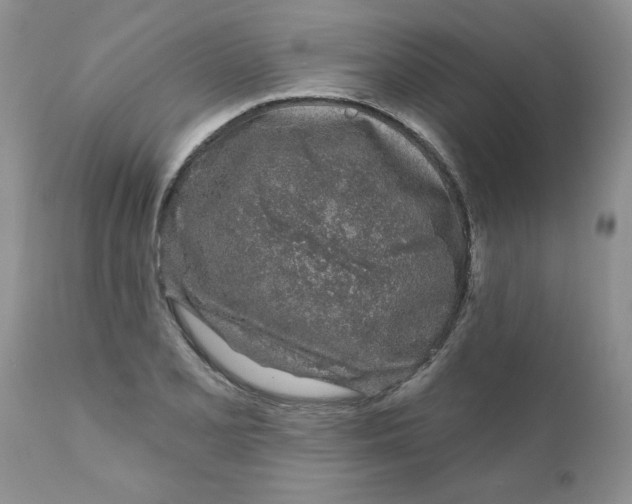 X0000111621077200908141312