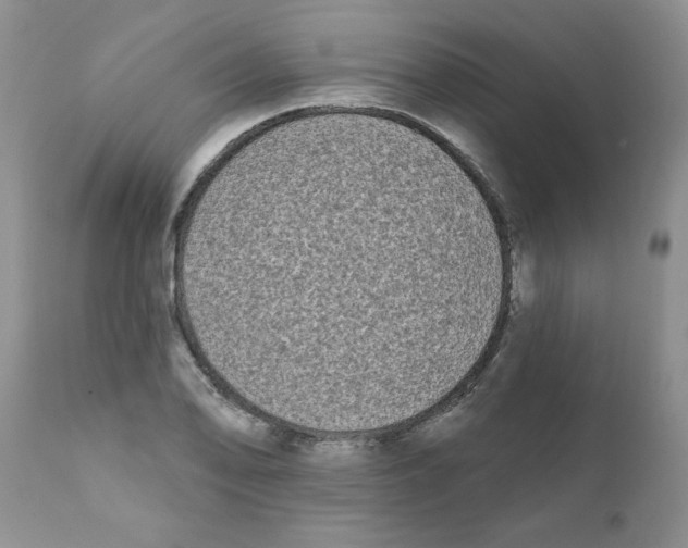 X0000111621078200908141312