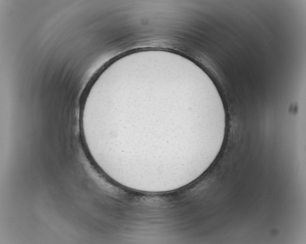 X0000111621079200908141312