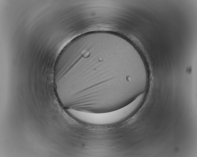 X0000111621081200908141312