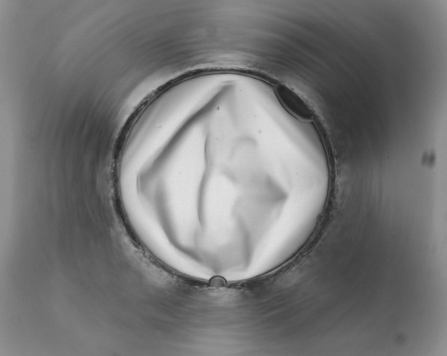 X0000111621085200908141312