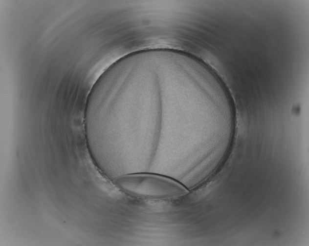 X0000111621089200908141312