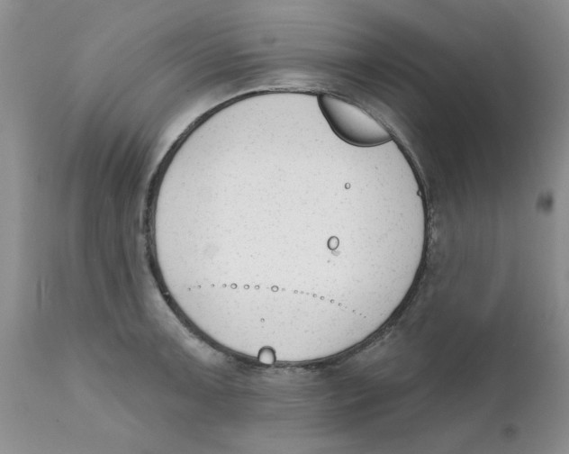 X0000111621091200908141312