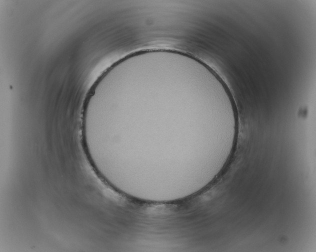 X0000111621093200908141312