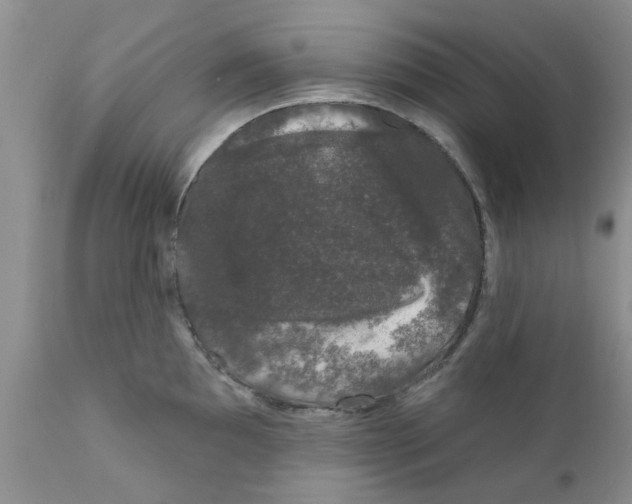 X0000111621097200908141312