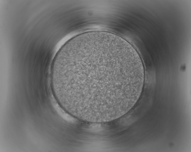 X0000111621098200908141312