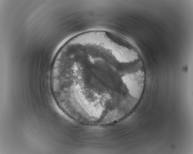 X0000111621100200908141312