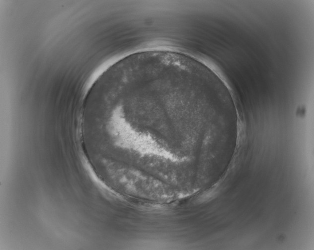 X0000111621101200908141312