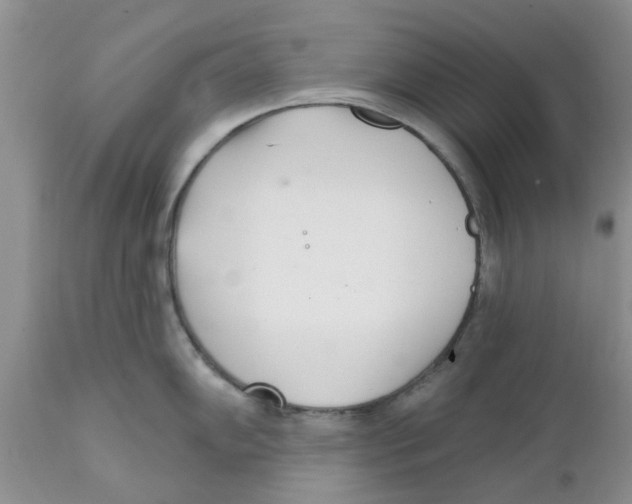 X0000111621102200908141312