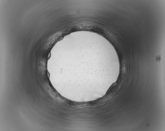 X0000111621108200908141311