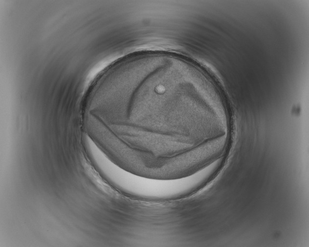 X0000111621114200908141311