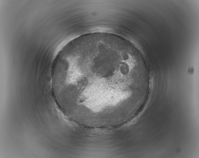 X0000111621117200908141311