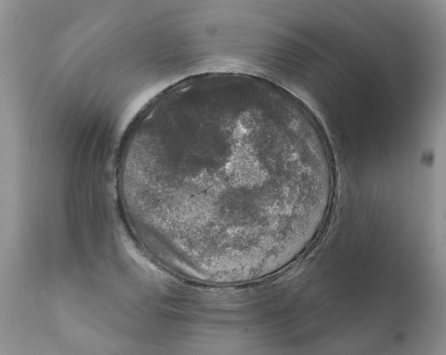 X0000111621120200908141311