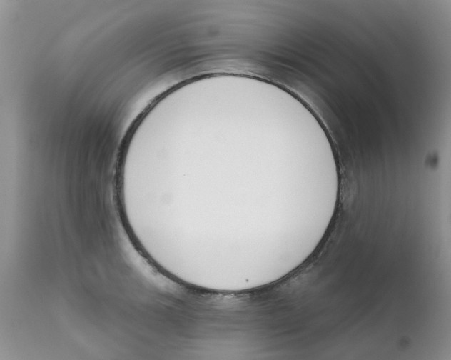 X0000111621139200908141312