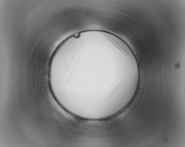 X0000111621142200908141312