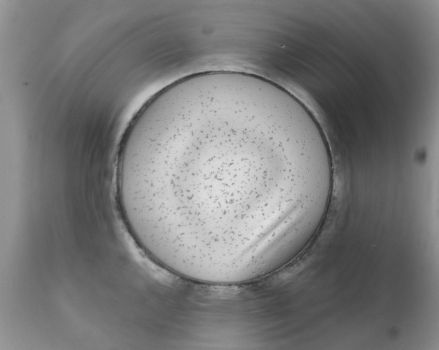 X0000111621144200908141312