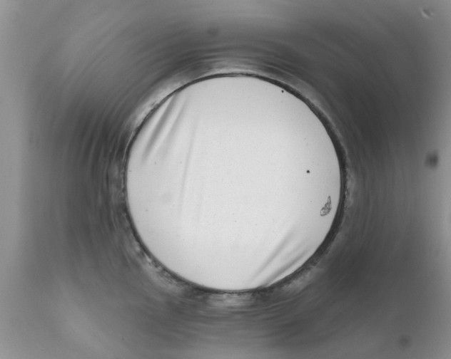 X0000111621145200908141312