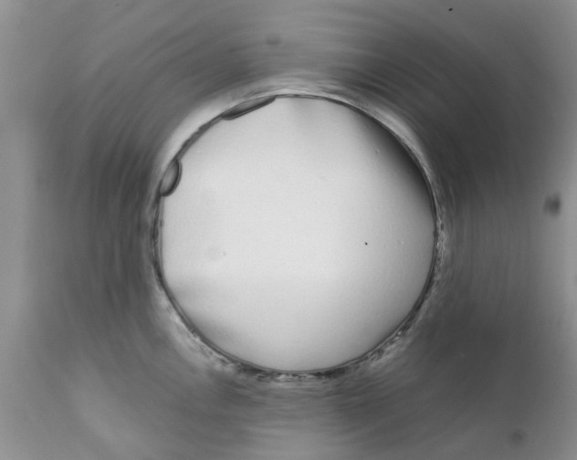 X0000111621146200908141312