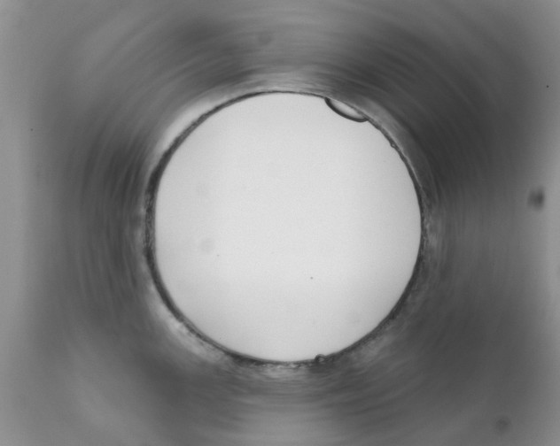 X0000111621147200908141312