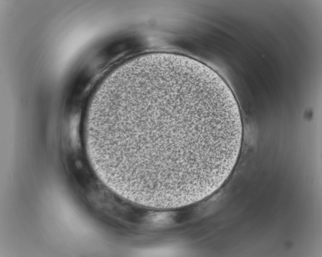 X0000111621150200908141312