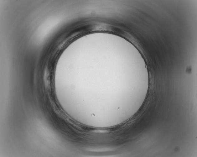 X0000111621151200908141312