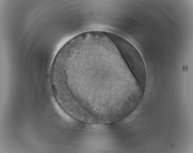 X0000111621152200908141312