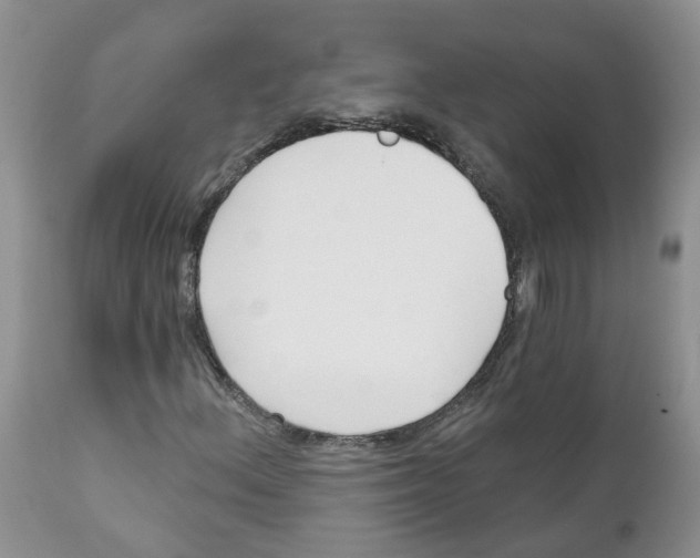 X0000111621156200908141311