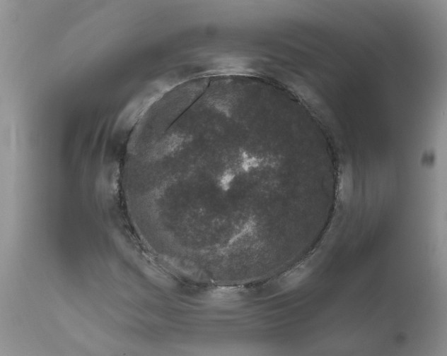 X0000111621161200908141311