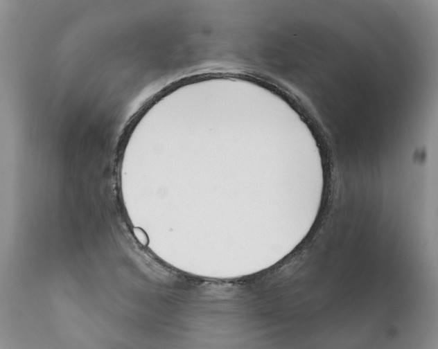 X0000111621168200908141311