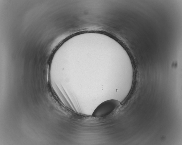 X0000111621171200908141311