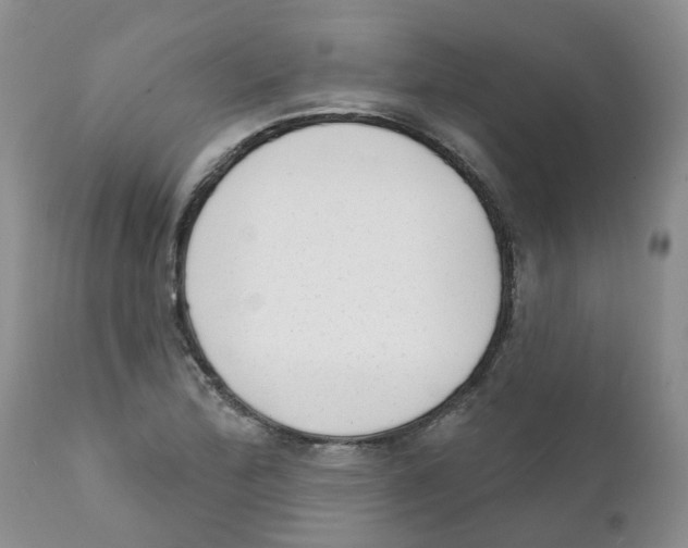 X0000111621172200908141311