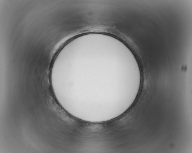 X0000111621174200908141311