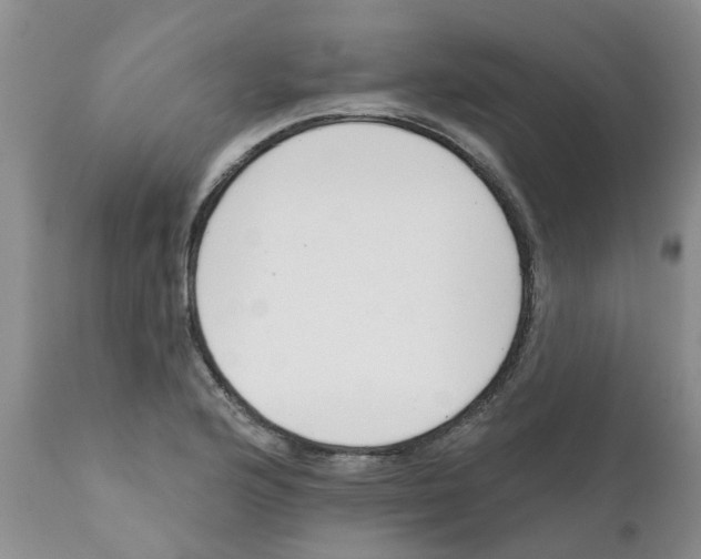 X0000111621176200908141311